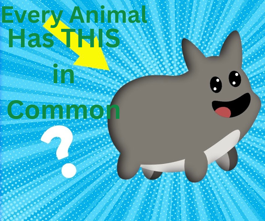 Why Does Every Animal Have THIS In Common?